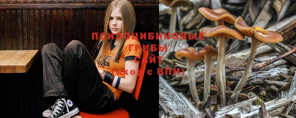 дурь Наволоки