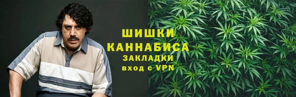 ECSTASY Заводоуковск