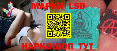 гашик Аргун