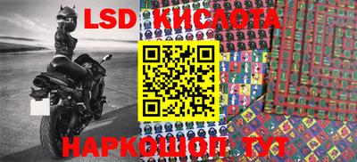 стафф Гатчина