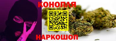 гашик Аргун