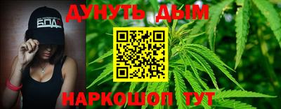 стафф Гатчина