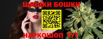 стафф Гатчина