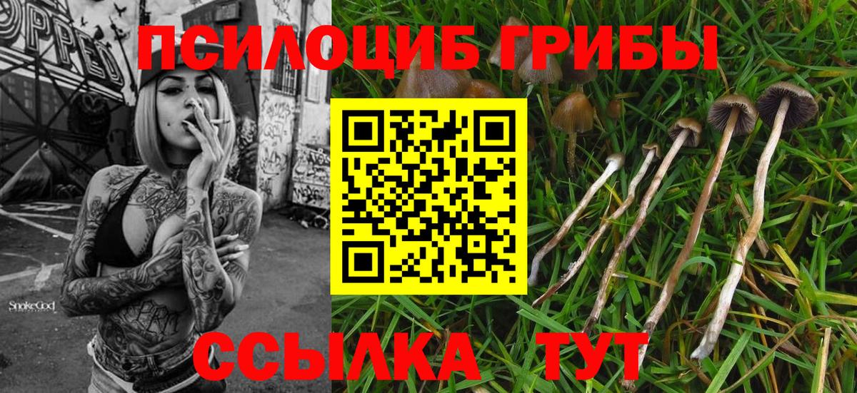 Галлюциногенные грибы GOLDEN TEACHER Когалым