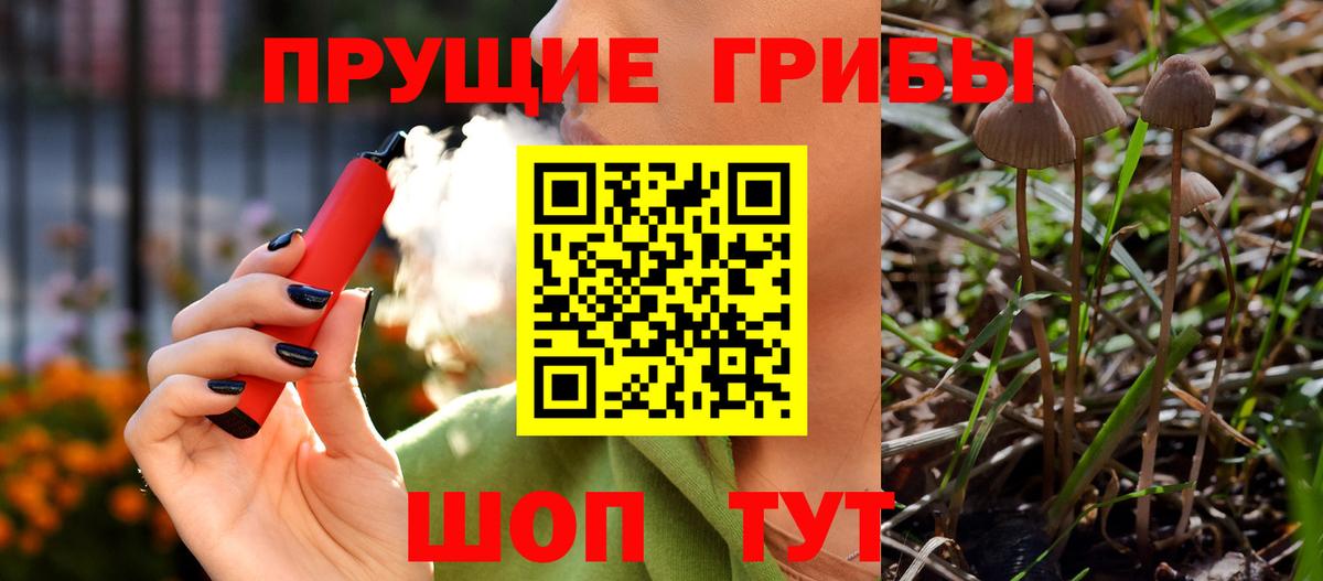 Псилоцибиновые грибы прущие грибы  Галлюциногенные грибы GOLDEN TEACHER  Вход с VPN  купить наркотик  Когалым 