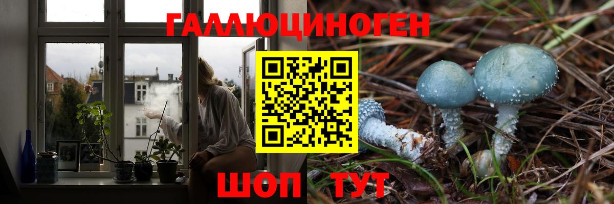 Галлюциногенные грибы Cubensis Когалым