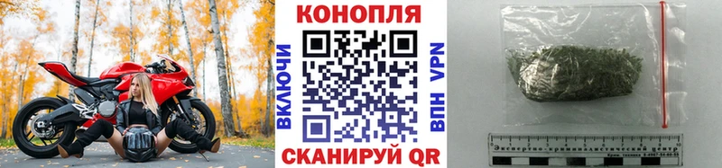 Бошки Шишки планчик  Когалым 